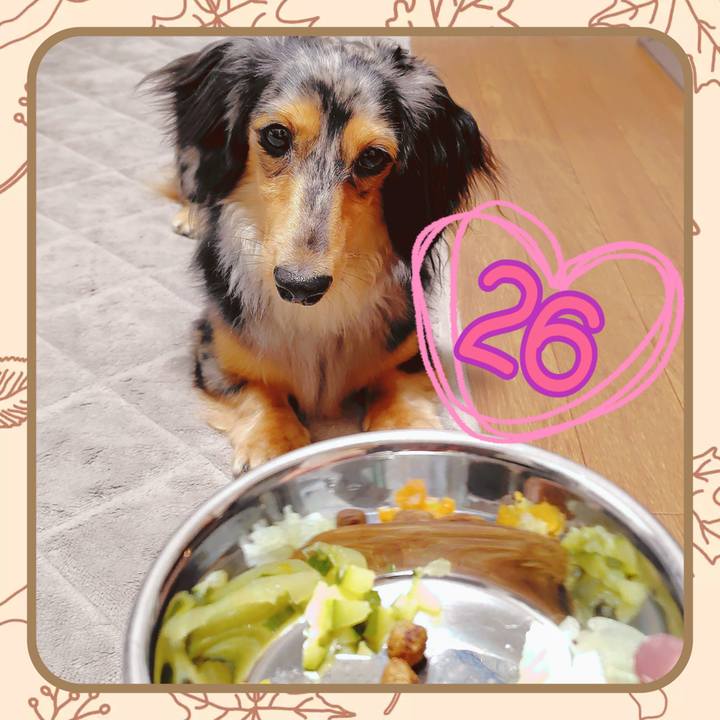 F2bc2368 c4d1 4810 b1b0 87f6332aca88 1758024858983