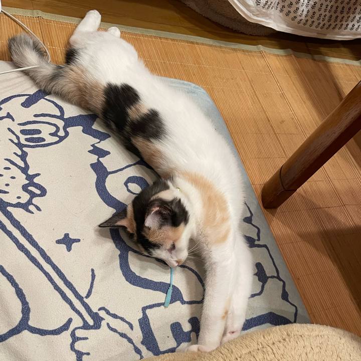 F2bc5e29 7214 4786 b293 c1a3222adfe3 1664805628685