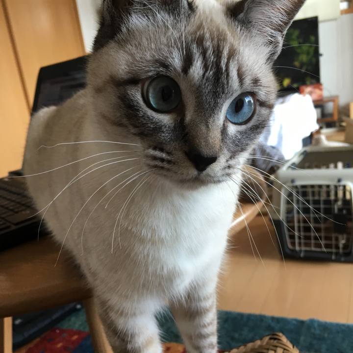 F2bc8bca 8cda 4a87 8df0 8850581fb86c 1549425445991