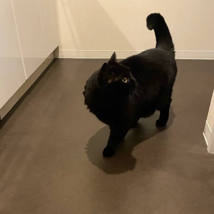 F2bcb7f7 68ec 4343 a330 d15de15bbc09 1770811254636