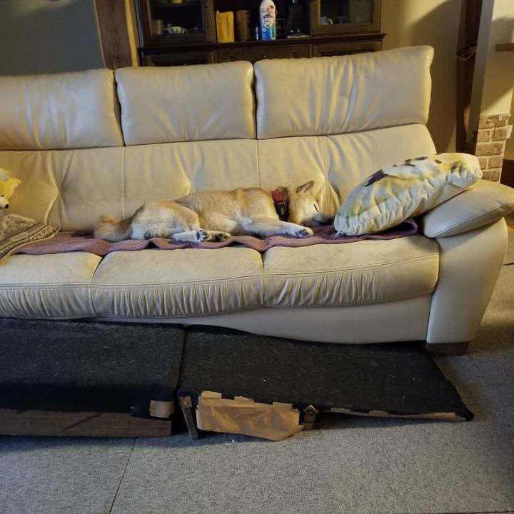 F2bcbbfd 3c79 489e ac7a 882ac4a8a882 1762163172172