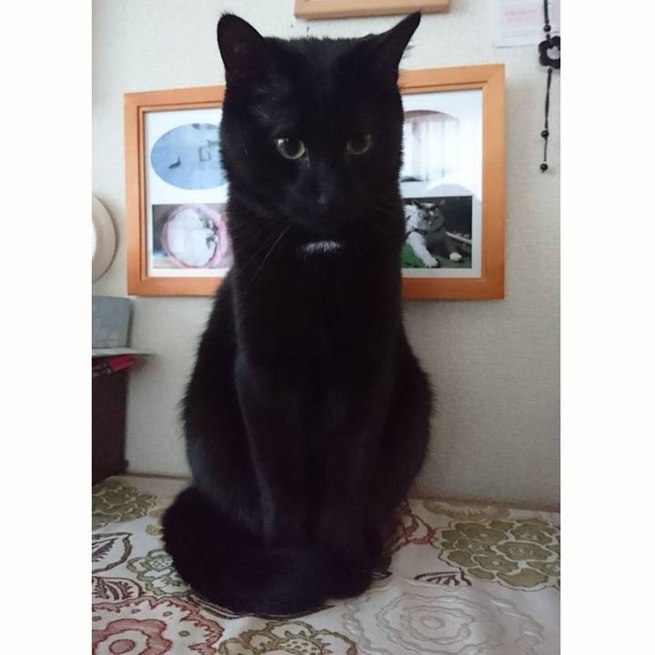 F2bd0c44 8585 46b0 a957 f423bdbbf2ba 1514602409949