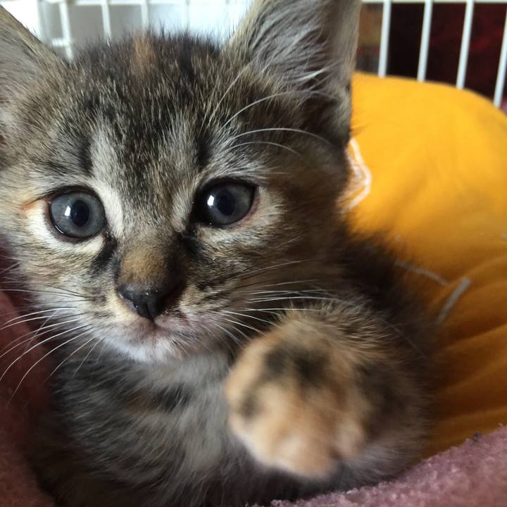 F2bd42d6 269c 485d b2af 49b3b90ea5b4 1519258603572