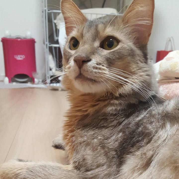 F2bd43d2 14cc 4f3c 986a 0858ad5967ee 1556633806083