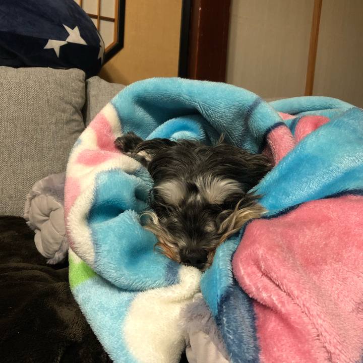 F2bd62f5 0152 45ba 9792 437a81b328a6 1605790928643