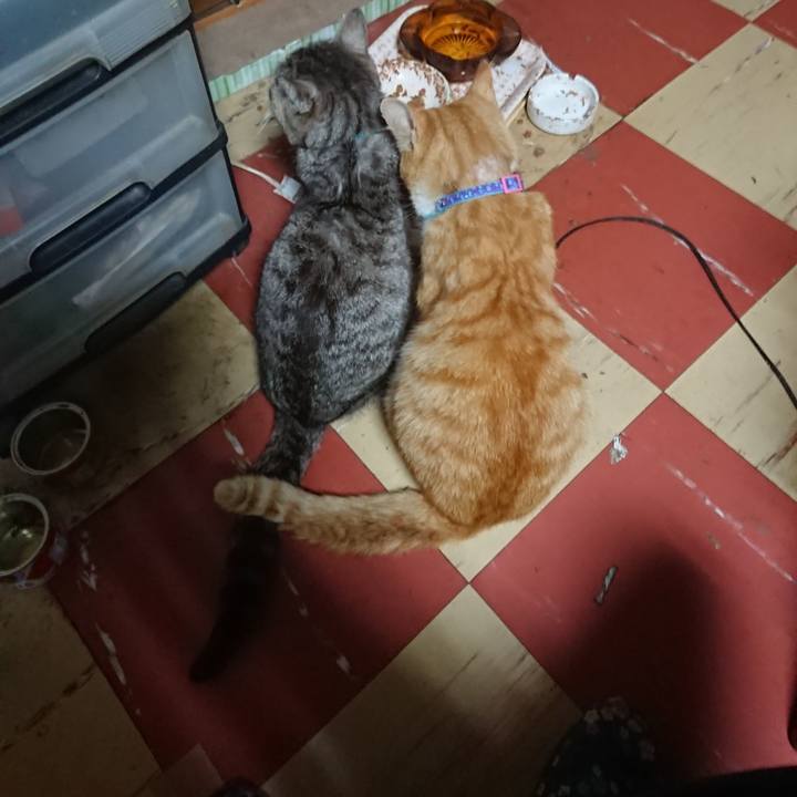 F2bd6832 5731 4977 86d0 08256ed7368d 1557951449654