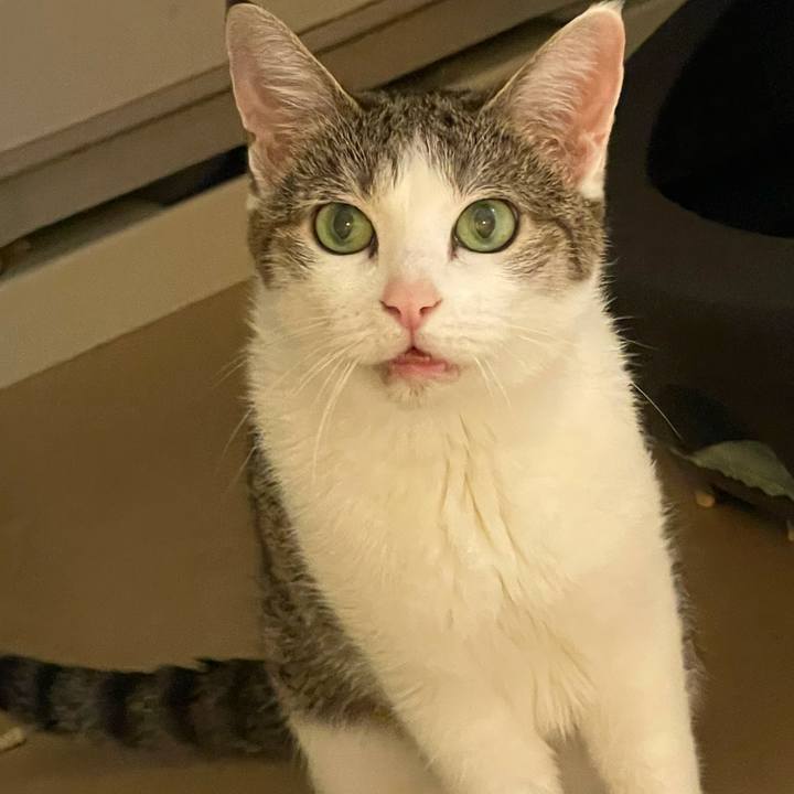 F2bd7ae7 cadb 49ad 8c33 3dc402ee0ab0 1625304905351