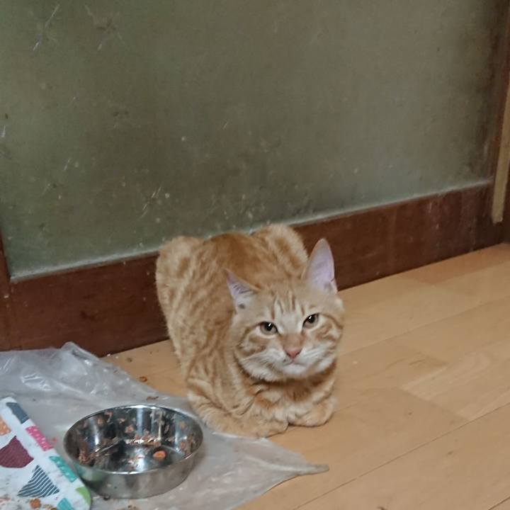 F2bd816f 6f30 4acf 984d 5481c608945d 1637577440530