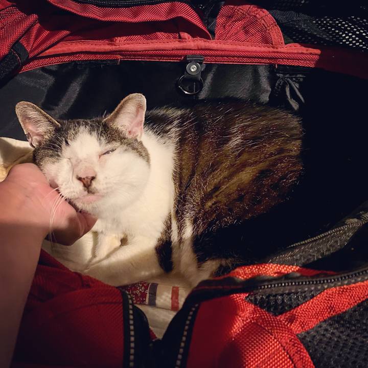 F2bdc385 786d 449a 8816 233e246f9ae1 1592142798716