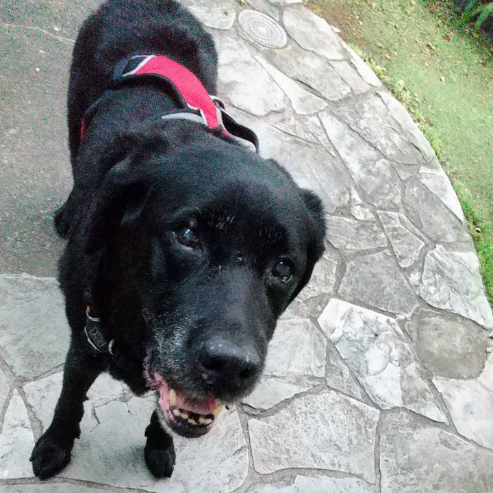 F2bdc767 b0a0 4c15 b20a 1459a7197e27 1695806402883