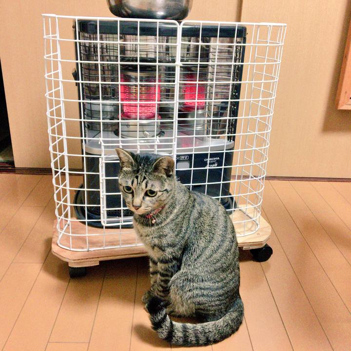 F2bdca14 0ca3 45eb 8177 5bd48da03bf0 1512705068535