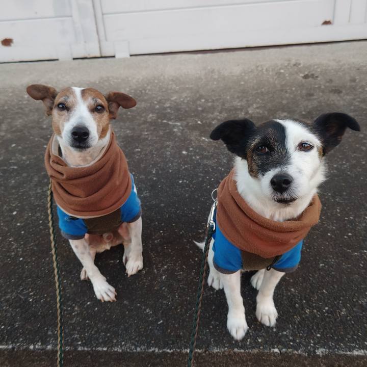 F2bdcef2 c434 4c71 85e9 e29a84fc095d 1766012197949