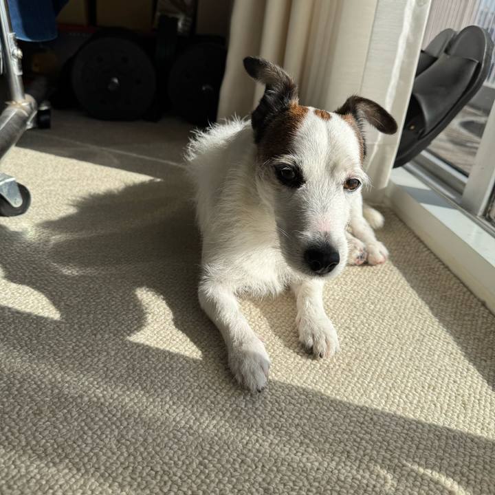 F2bdd352 794c 46c9 a068 ce6e0eec0f00 1762506453620