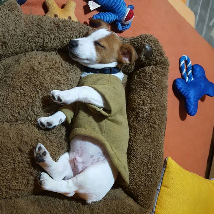 F2be33ad 6aeb 439a 968e c21c8621814b 1550831403537