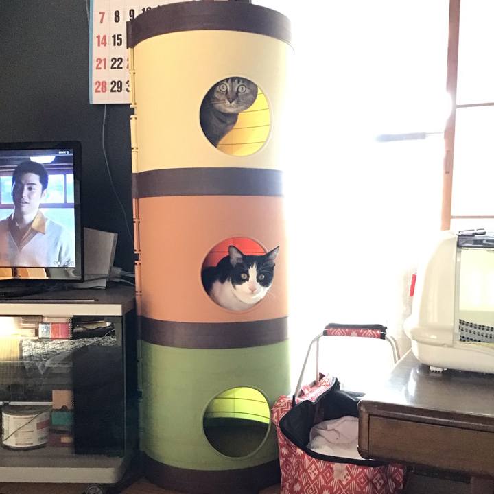 F2be3fc5 13e1 4464 a877 77f4336a45cd 1638244554770