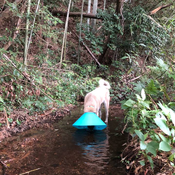 F2be7a57 a66e 475d b8d6 66aa28fa3578 1532603892585