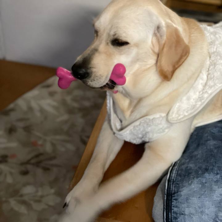 F2be846d d8cd 4a97 9a40 46b9b3c6347d 1635123112972