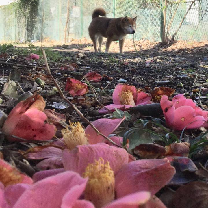 F2becb0b 8ef3 411c b6f6 e36661eefad9 1615686629055