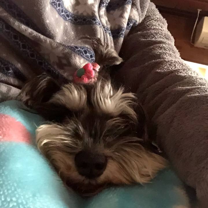 F2bedaa3 46d7 4036 a6c8 a6a054617bdc 1546481711804