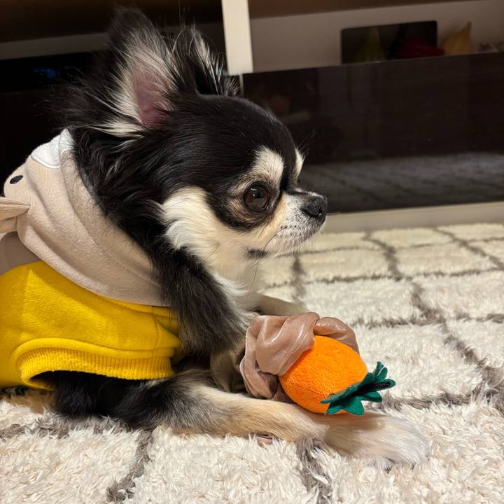 F2bee5c5 8288 4bce 9bd3 c578912bdb37 1743266121246