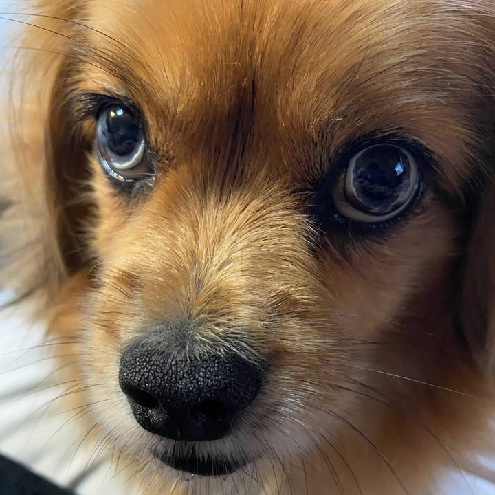 F2bf110b d34e 4273 90ff 1c68c6cc7c44 1625089653100