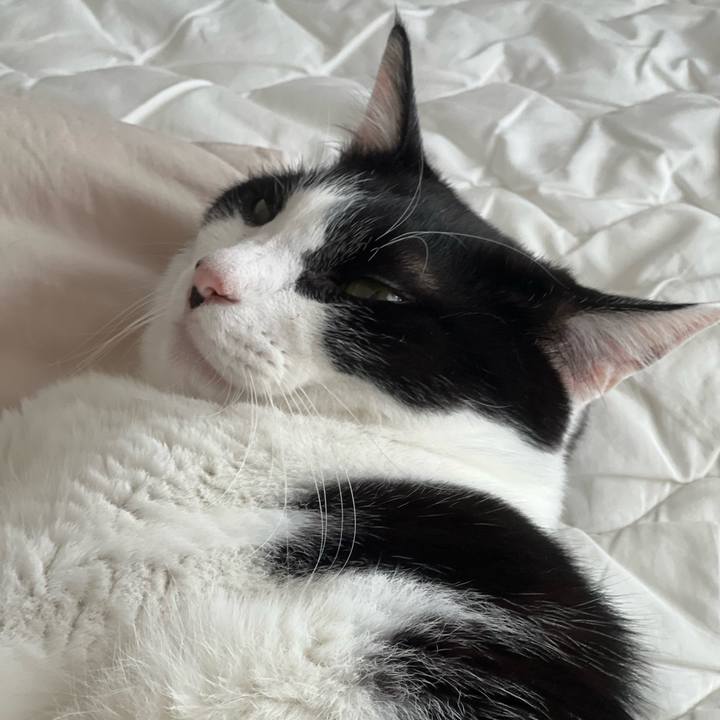 F2bf5f4a 19ac 483b 9ffb 201ed8880d82 1694823299637