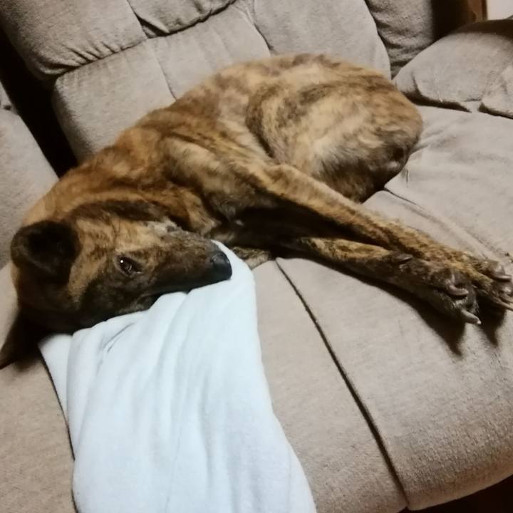 F2bf6963 0093 4984 99d1 8dc0b26d9a6c 1540126281743