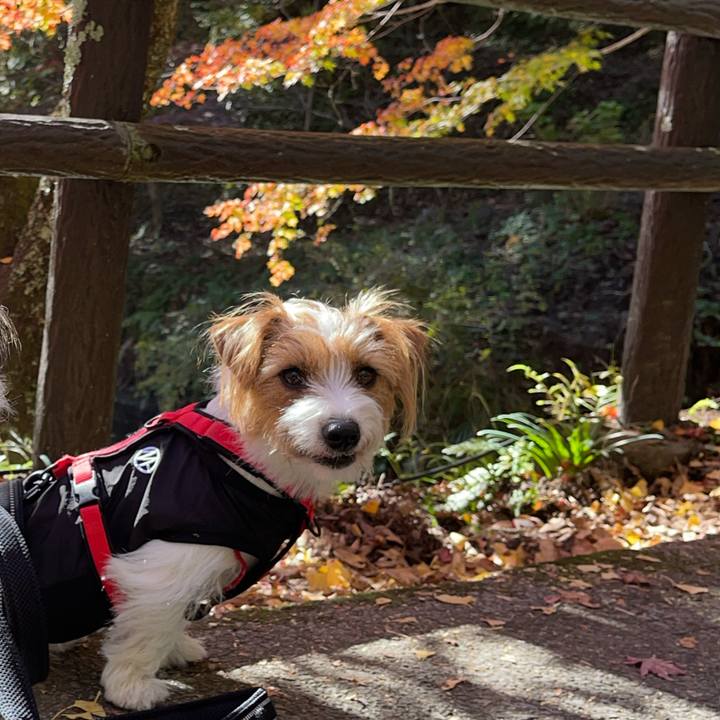 F2bf6c35 682b 4490 98ea f89169412850 1763727560106