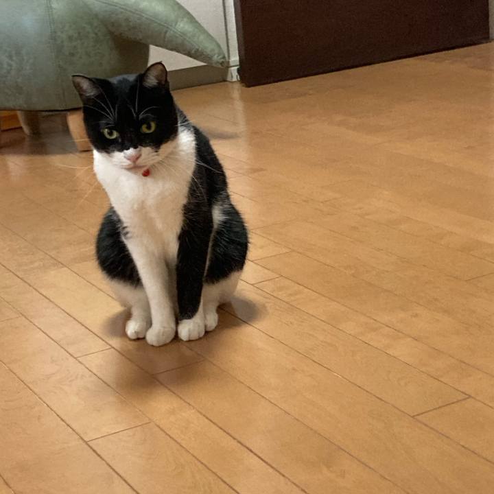 F2bf6fea 3982 4c20 8fb2 71b5dac9442d 1661671633467