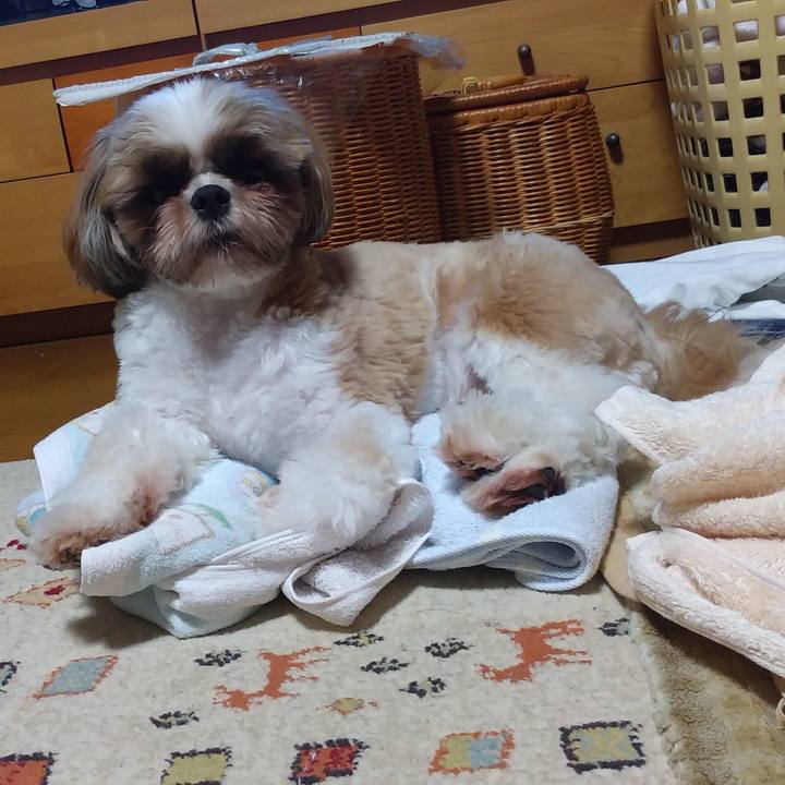 F2bf8471 8853 4f1e a433 a06de917d735 1597571752746