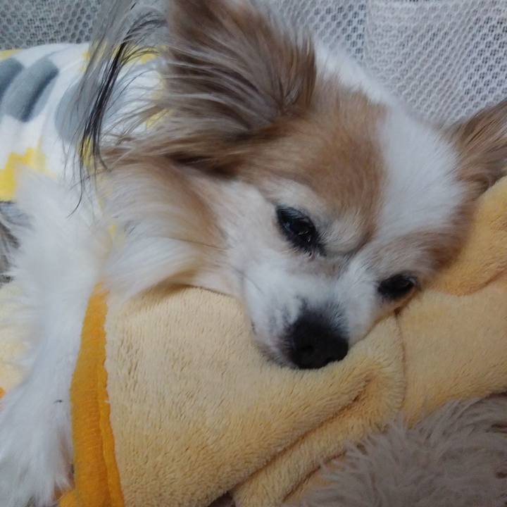 F2bf87f6 bcbf 4867 97a8 418234aacd91 1579532012981