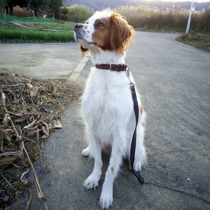 F2bfb895 a8eb 41c7 aba8 60e50d02a9fd 1513036548540