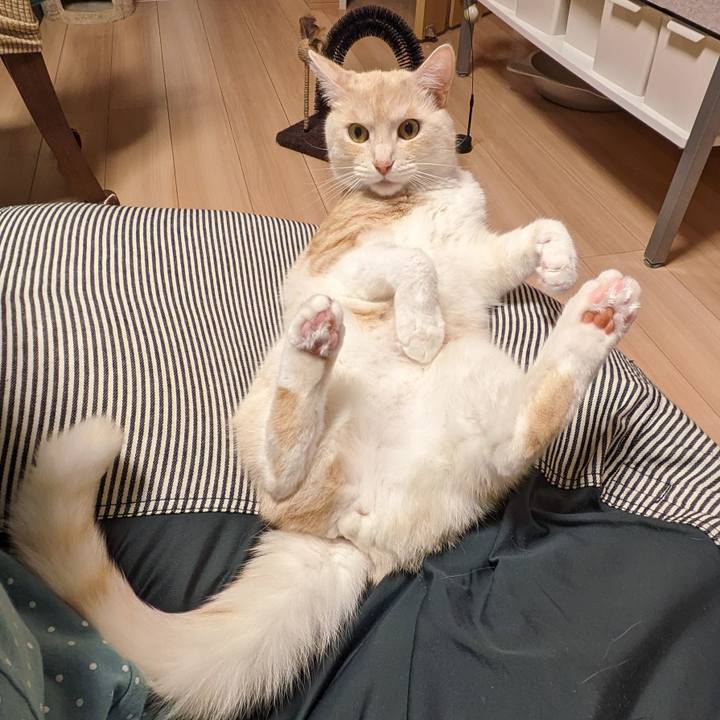 F2bfcffa 6d79 4e2b 8bb7 f2b477ae5f5f 1717420274944