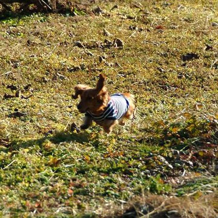 F2bfdce9 a7de 45f4 98da 73cd5bbf3dd8 1576522223871