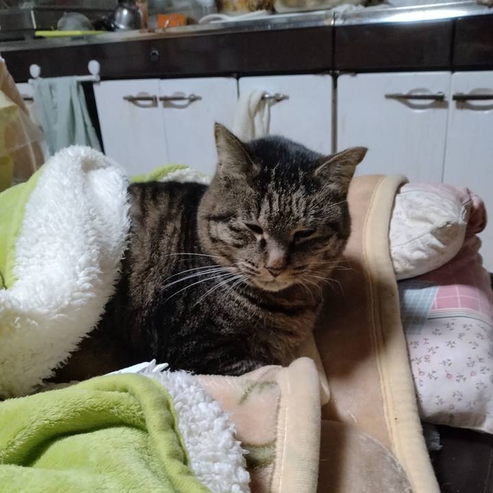 F2bfeb9d 2e63 4d8b 957b 289a2bded2b9 1675547377489