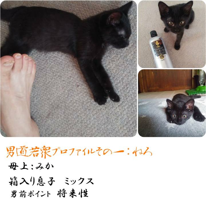 F2c0268b d708 42a4 afd0 62cab82fb88c 1566302961752