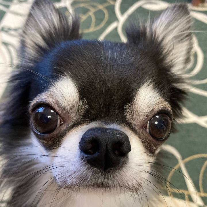 F2c029f8 c84c 4205 88ae 39fe6f473d05 1637968677481