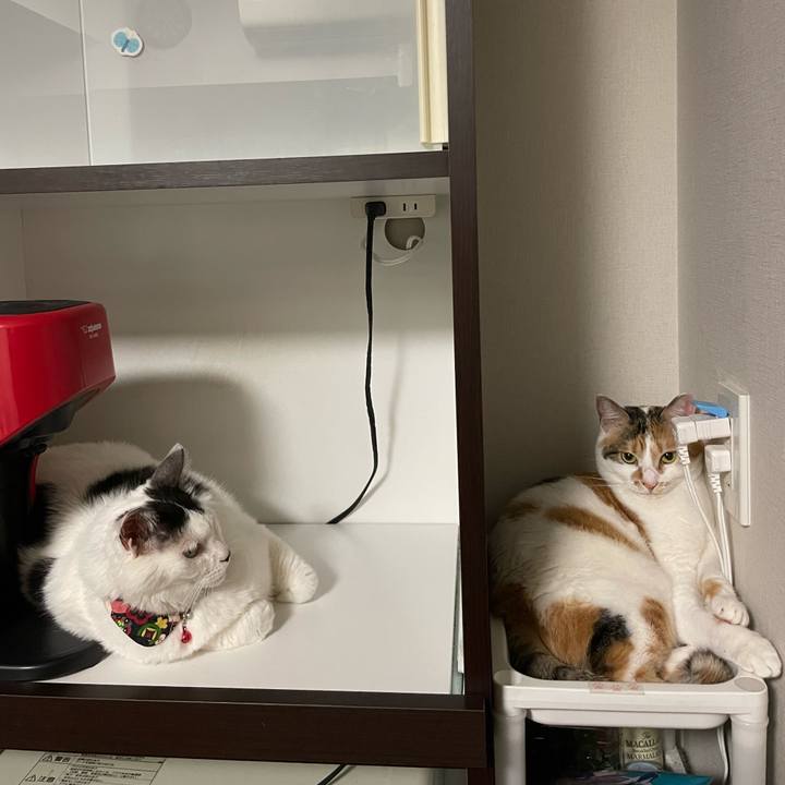 F2c0699f 7a0a 4383 9a74 0f349c67bd0e 1655727437744