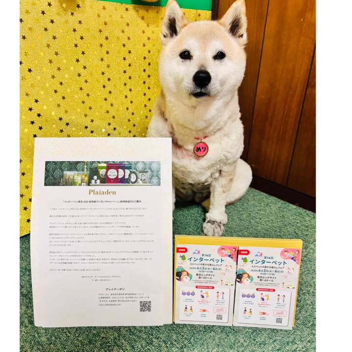 F2c07efd 0284 49da b21c 381f2450ab79 1743071944882