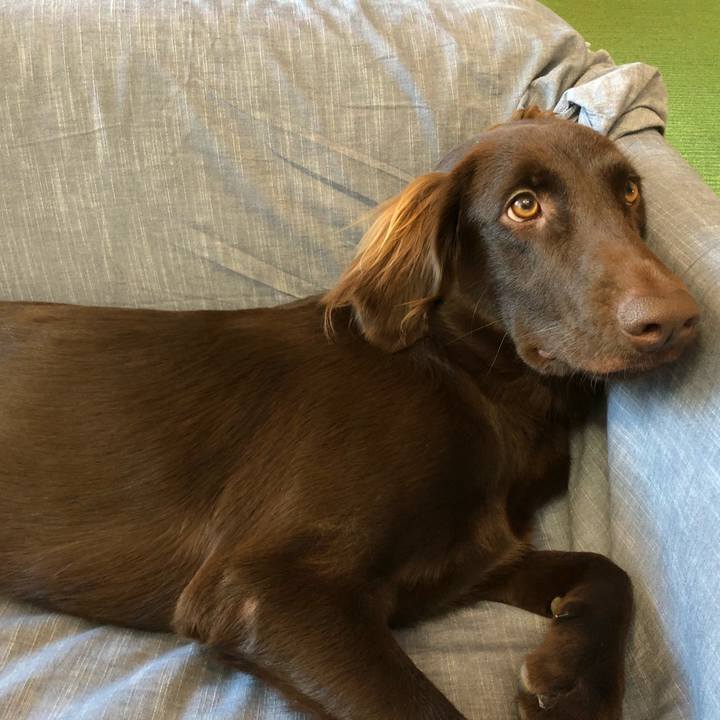 F2c0bd18 e478 41ef 8741 a00c52c386e1 1573774154528