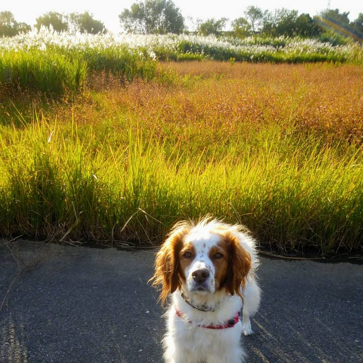 F2c0d7fb b9d1 4b6b ad3e 994829c5c351 1540629357797