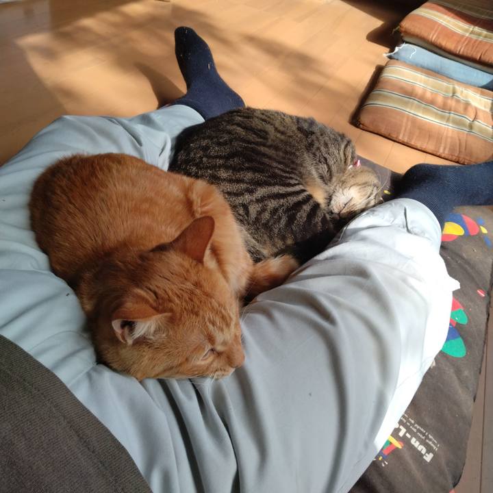 F2c14af6 c882 4865 8711 39c4b1bedb95 1666065064660