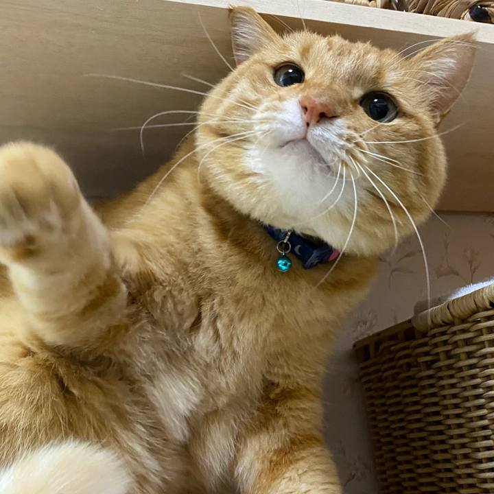 F2c16416 48e2 4986 999a cb62bff03233 1604229939682