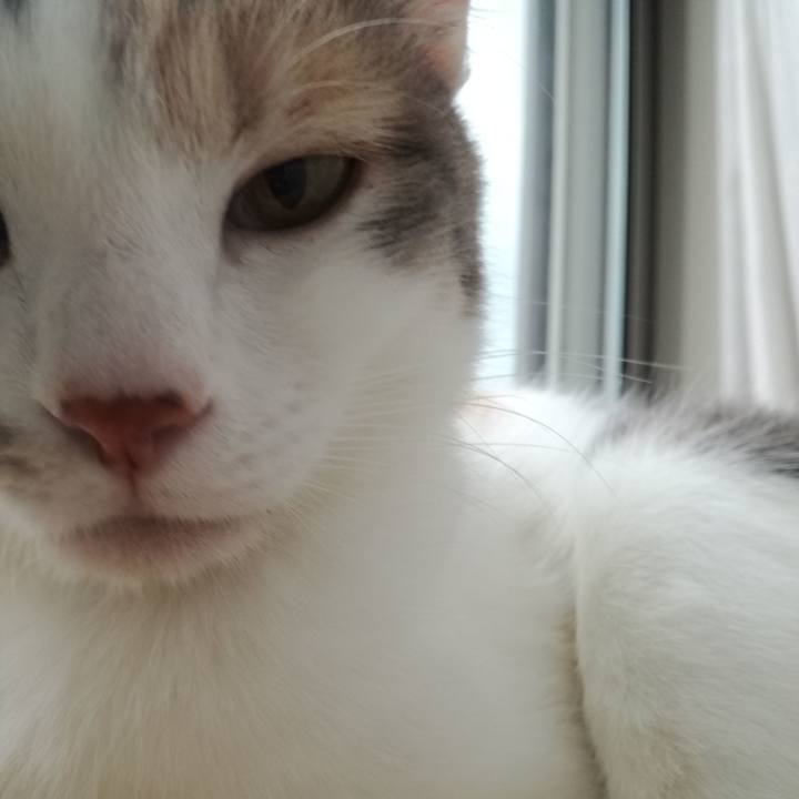 F2c170a5 2651 47f5 902a f07e124110fa 1521600466390