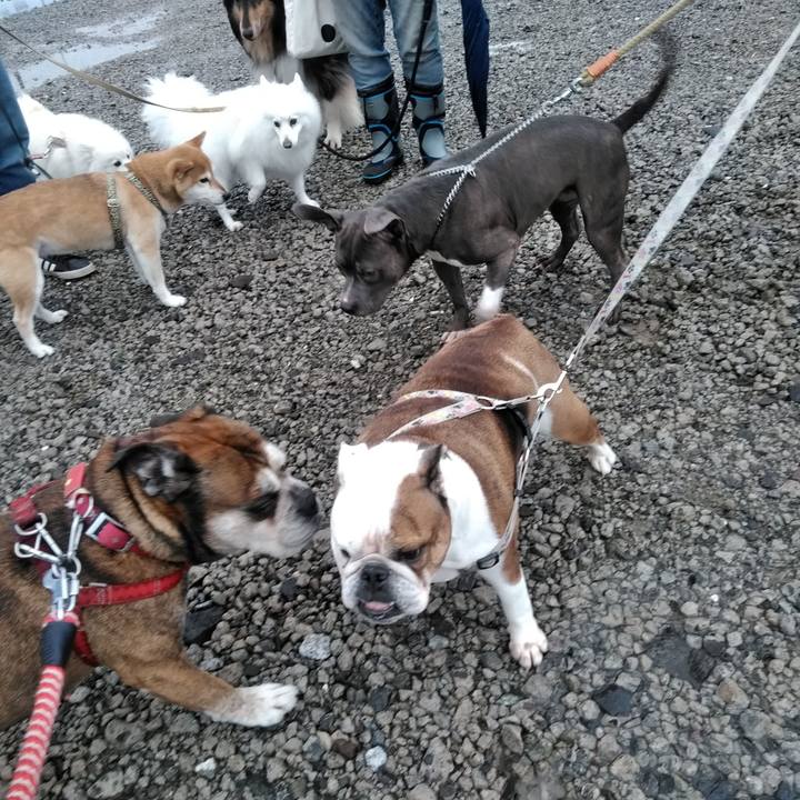 F2c17358 064a 44c7 846a 623d20db1d30 1565682678459