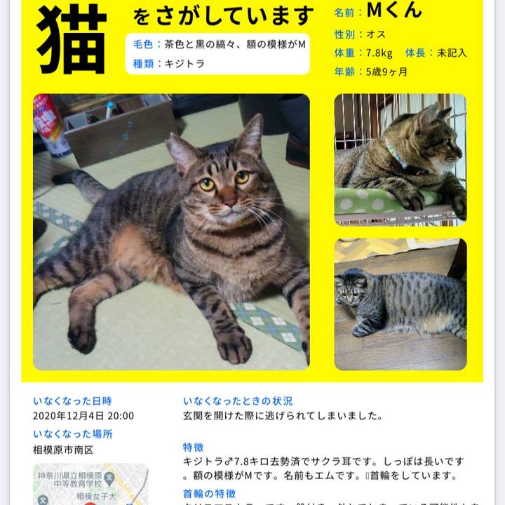 F2c18cb6 8fa5 4a50 9b18 de291bf42ffa 1610161800507