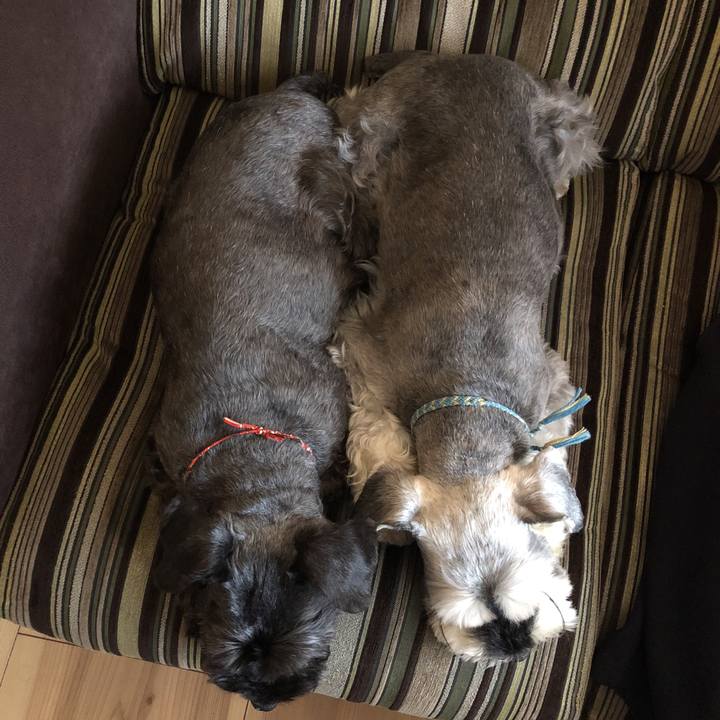 F2c1c3c4 2da5 4fd3 804d f2b8c7efc1dd 1530402043617