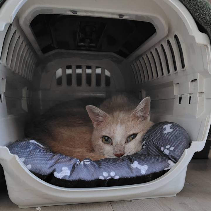 F2c1d800 50b7 4104 98dc e347b795d556 1728512243872