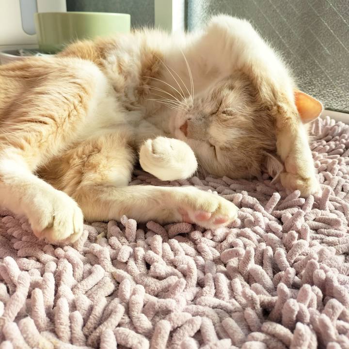 F2c1e6ce 39be 4ed0 961a 34f3fde1fb2e 1677282388703