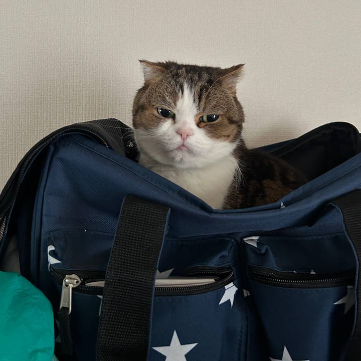 F2c23946 b58c 4377 8b50 50e615c8c165 1774477910318